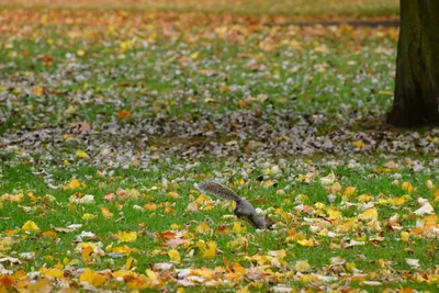 DSC_0575 (Large).JPG